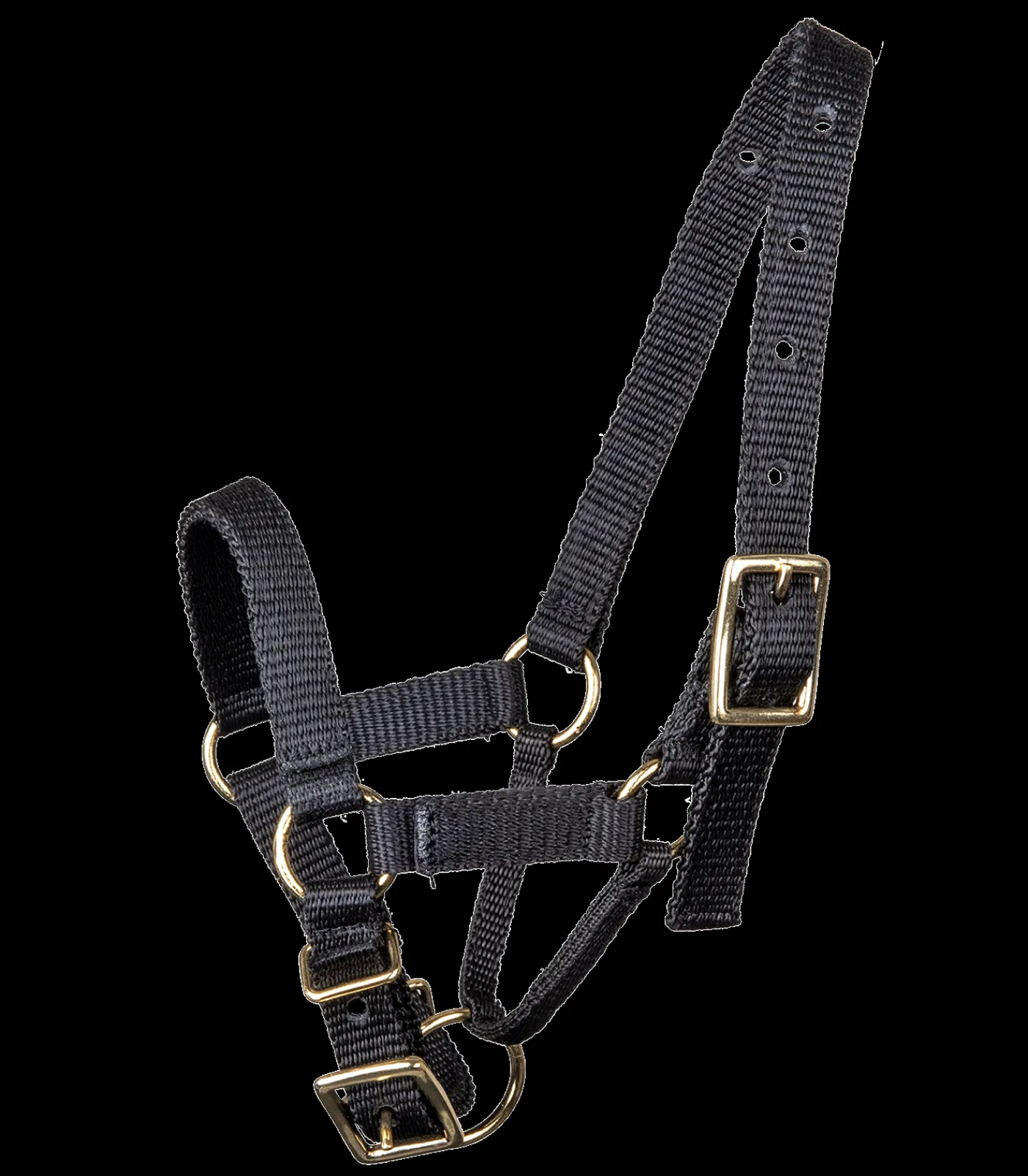 Waldhausen Halfter>Alpaka Halfter