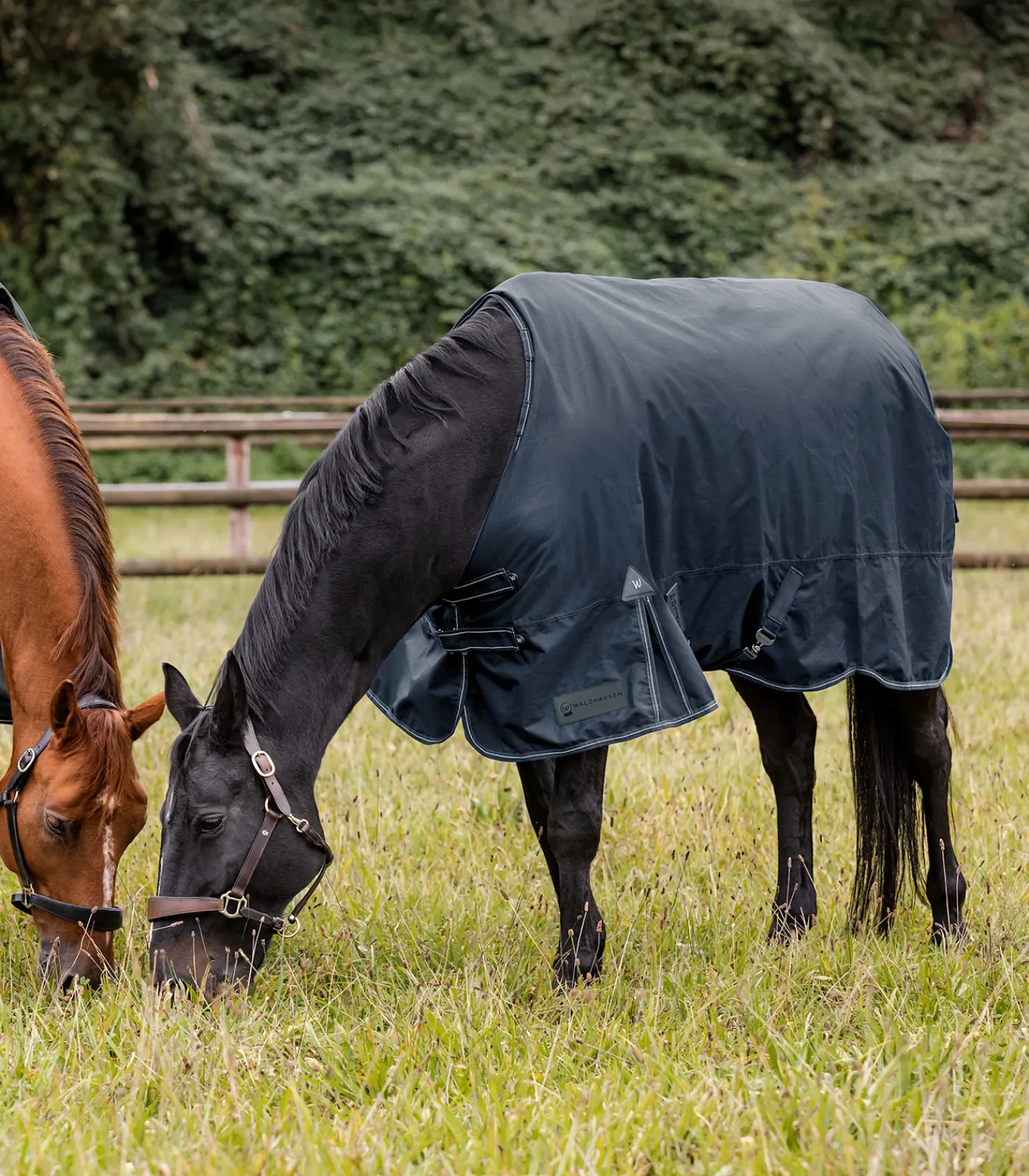 Waldhausen Outdoordecken>ARCTIC Outdoordecke, 200 g