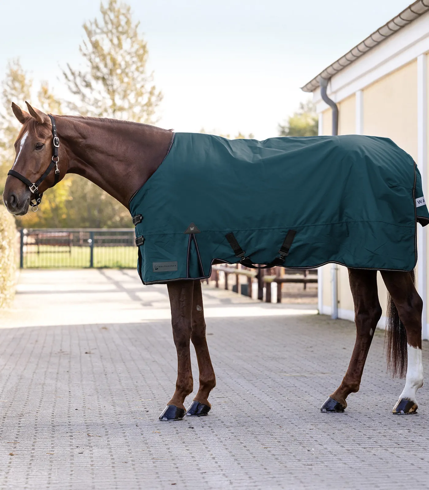 Waldhausen Outdoordecken>ARCTIC Outdoordecke, 200 g