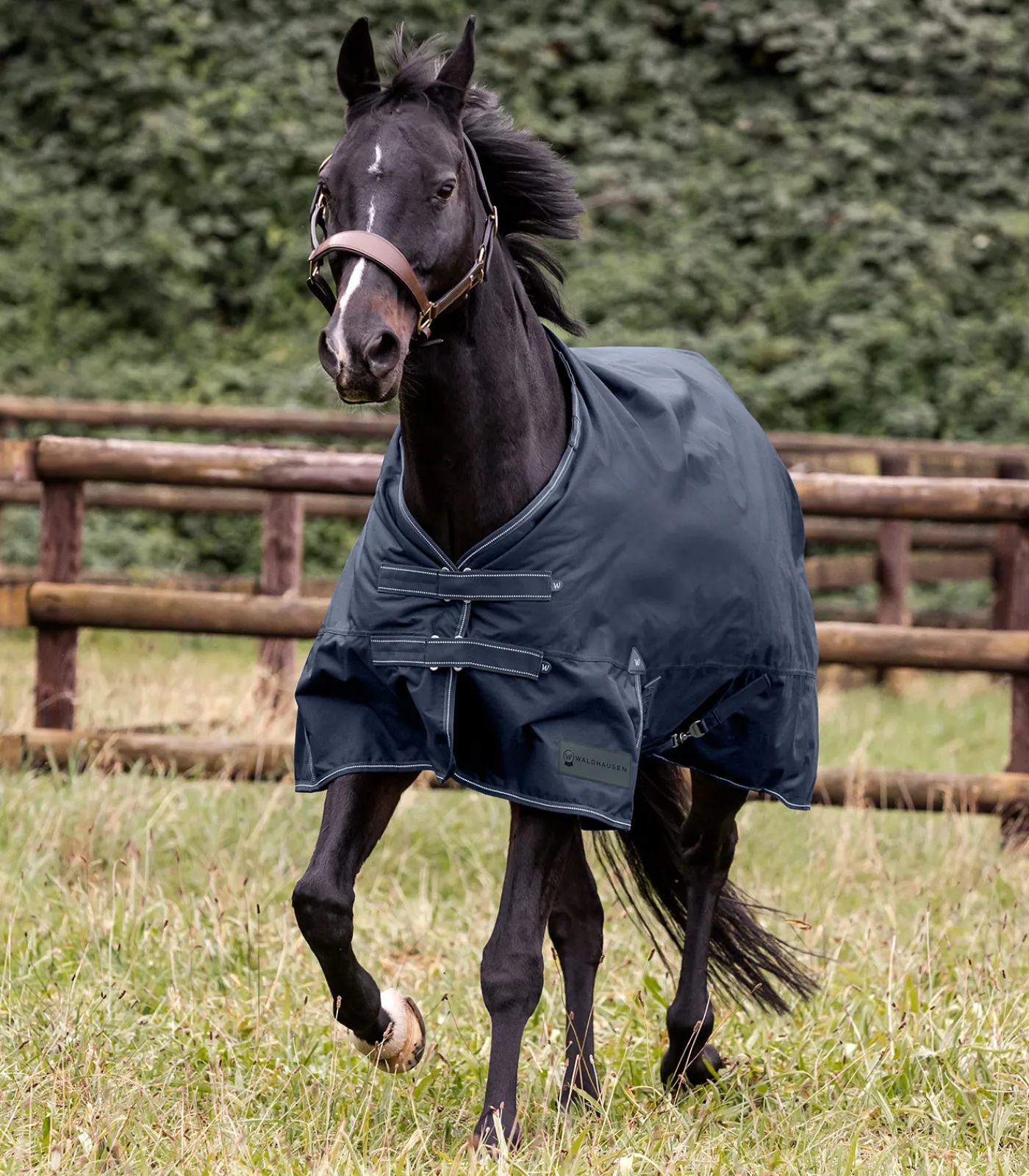 Waldhausen Outdoordecken>ARCTIC Outdoordecke, 200 g