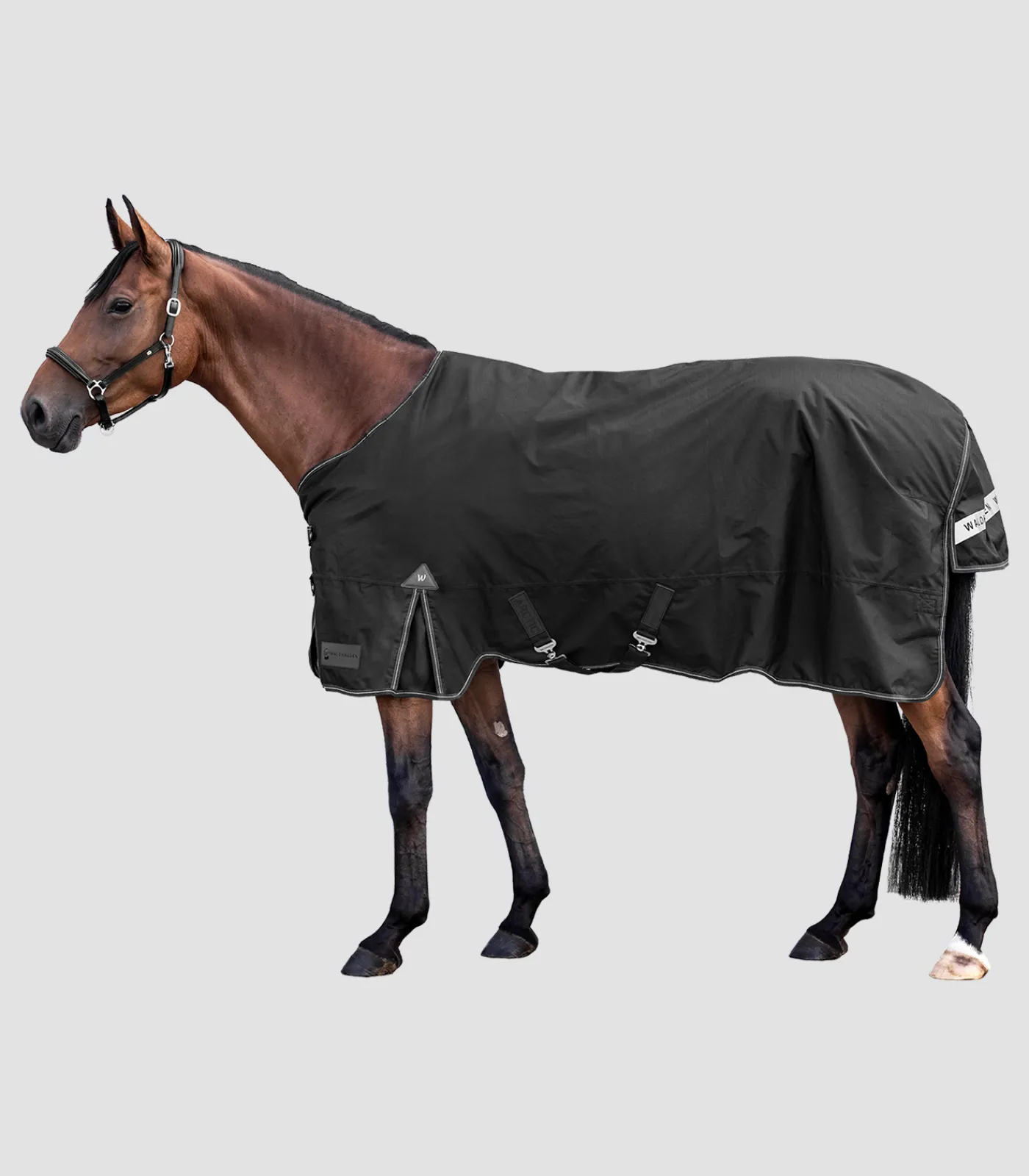 Waldhausen Outdoordecken>ARCTIC Outdoordecke, 100 g