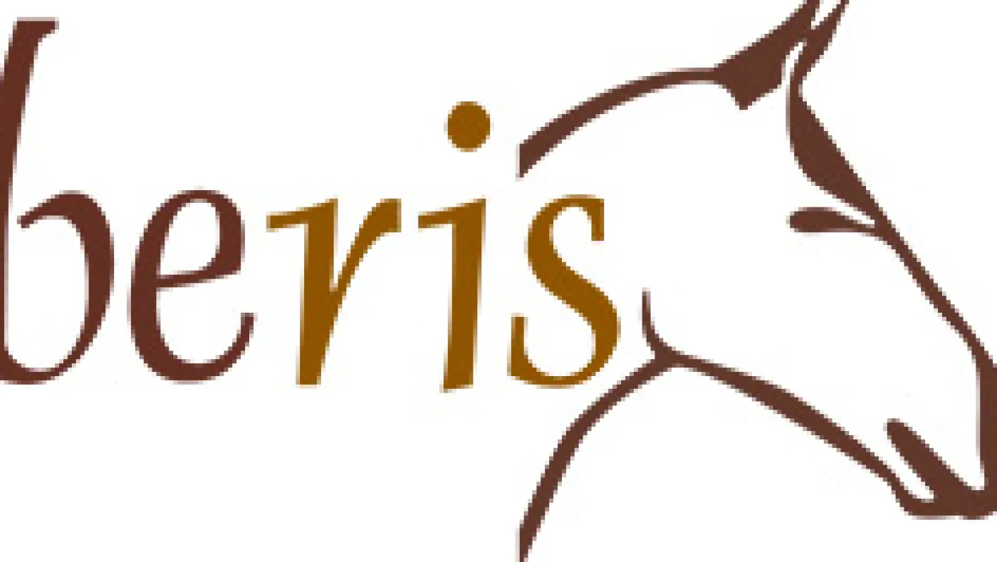 beris D-Ring Gebisse>D-Ring Gebiss, einfach gebrochen