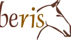 beris Spezialgebisse>3-Ring Gebiss, einfach gebrochen