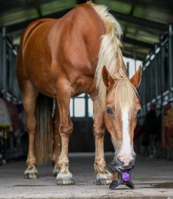 Bizzy Horse Lecksteine>Bizzy Ball