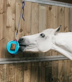 Bizzy Horse Lecksteine><noscript><img width=