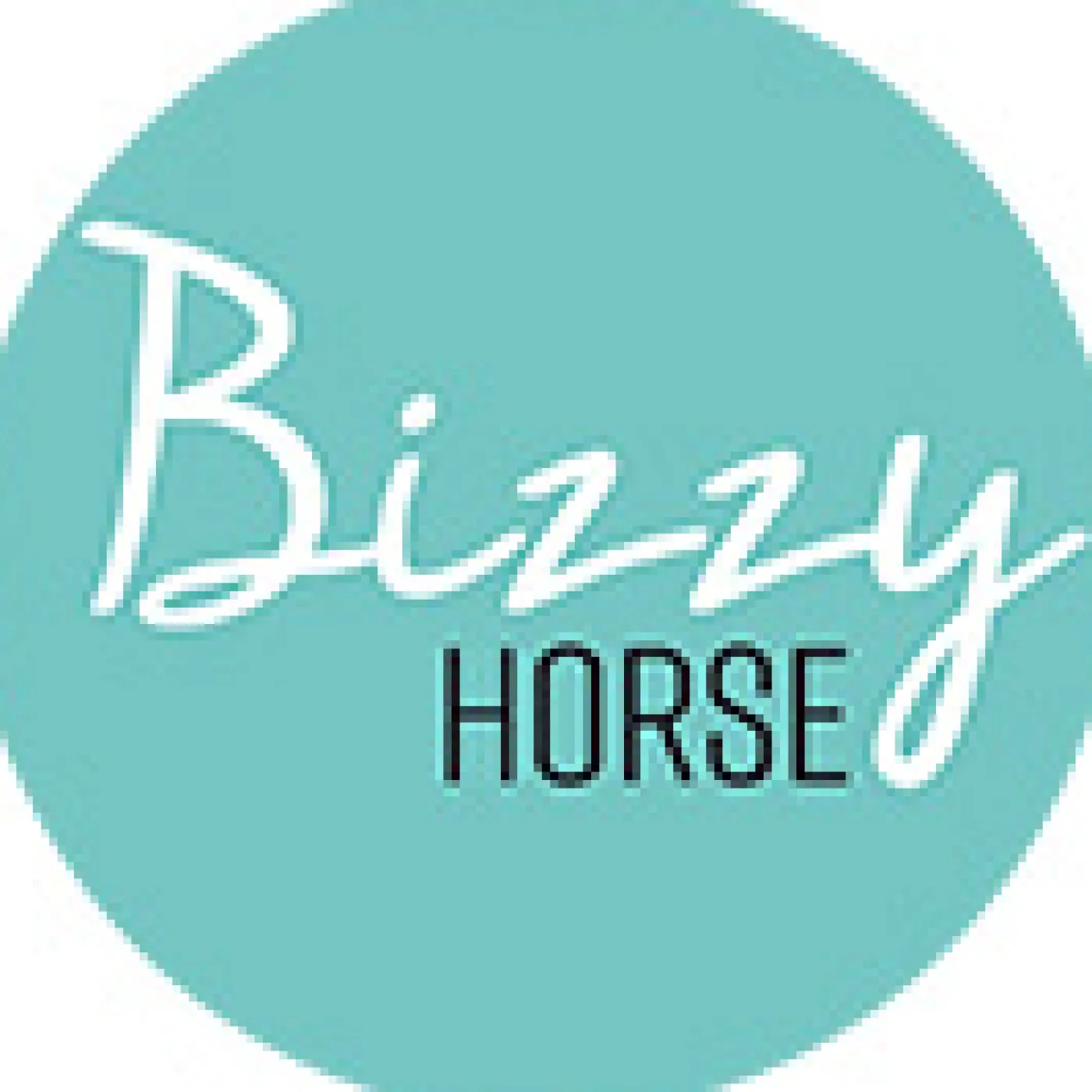 Bizzy Horse Lecksteine>Bizzy Ball
