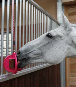 Bizzy Horse Lecksteine><noscript><img width=