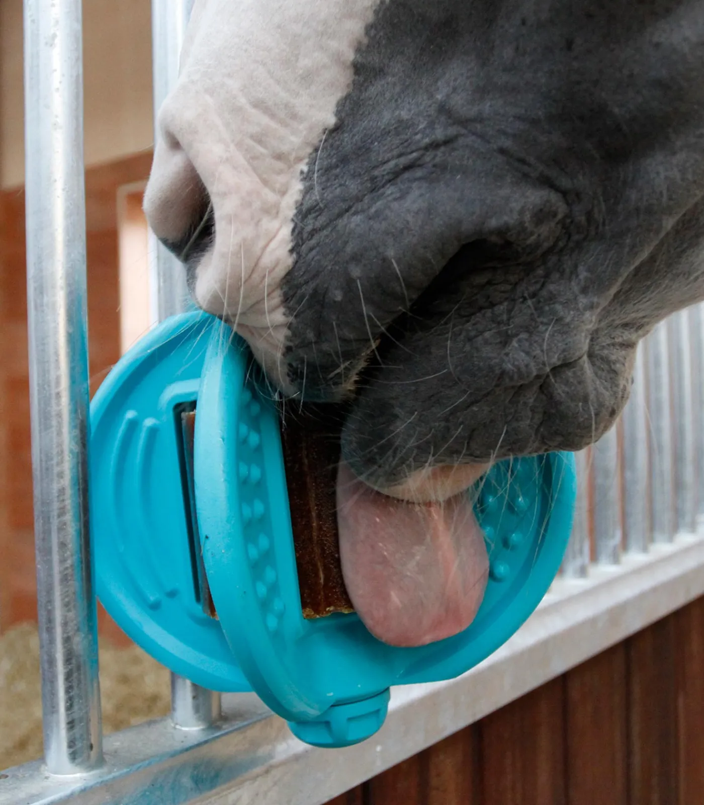 Bizzy Horse Lecksteine>Bizzy Ball