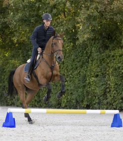 Waldhausen Reitplatz>Cavaletti-Block