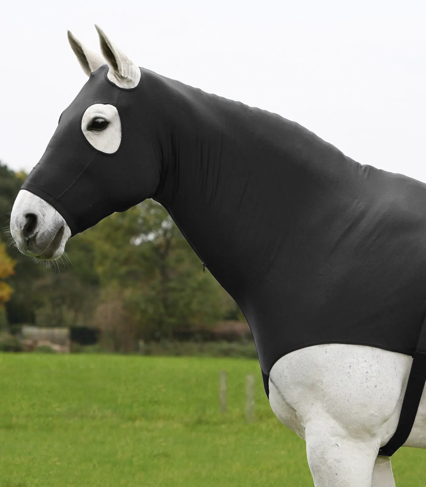 Waldhausen Deckenzubehör>Comfort Combination Hood