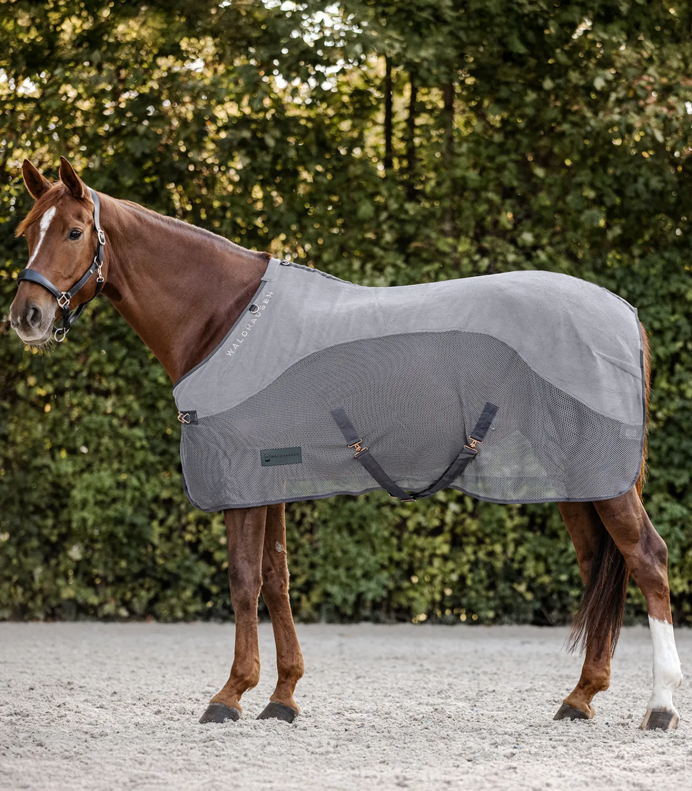 Waldhausen Transport|Fliegen- & Ekzemerdecken>COMFORT Fleece-Fliegendecke