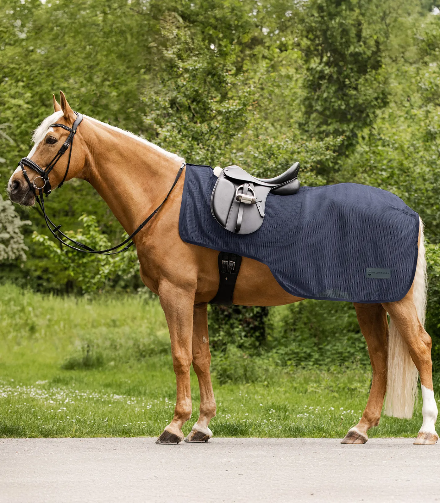 Waldhausen Fliegen- & Ekzemerdecken|Fliegendecken>COMFORT Fliegen-Ausreitdecke