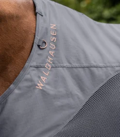 Waldhausen Fliegen- & Ekzemerdecken|Fliegendecken></noscript>COMFORT Regen-Fliegendecke