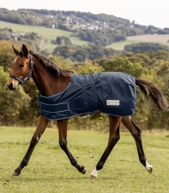 Waldhausen Fohlen|Outdoordecken></noscript>COMFORT Regen-Fohlendecke