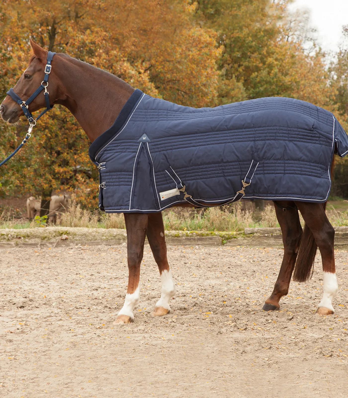 Waldhausen Stalldecken>COMFORT Stalldecke, 100 g