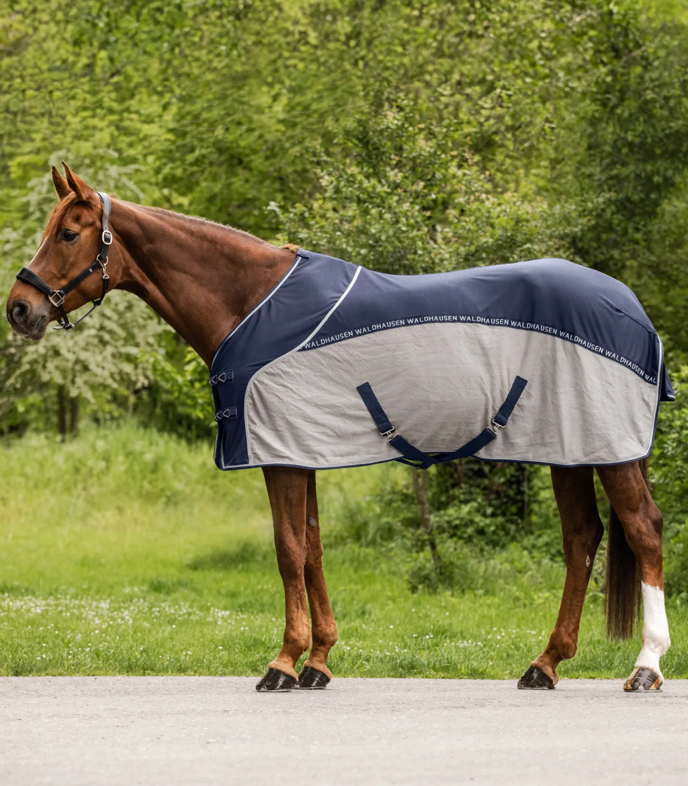 Waldhausen Fliegen- & Ekzemerdecken|Fliegendecken>Cooler Fliegen-Sommerdecke