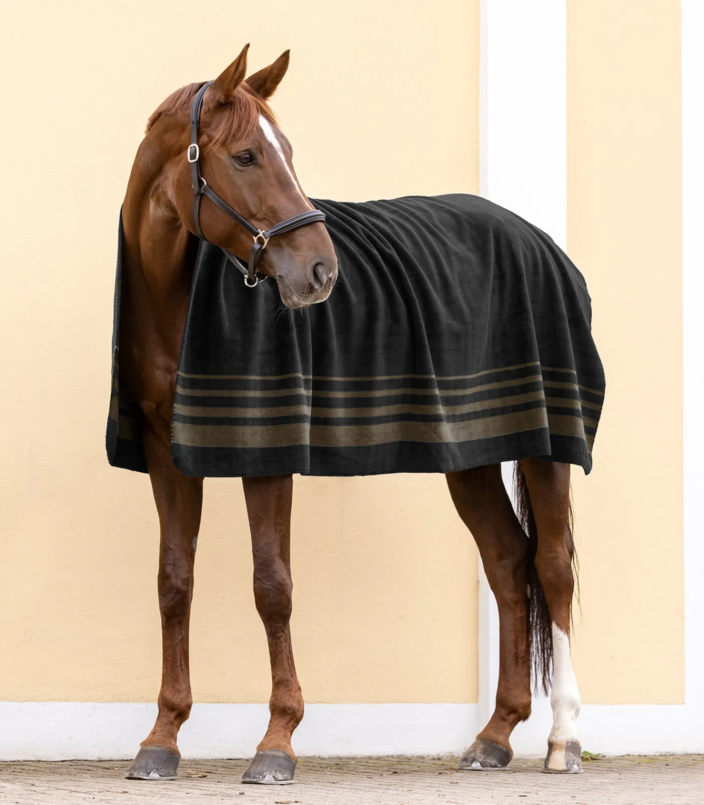 Waldhausen Abschwitzdecken>Dicke Fleecedecke Sölden