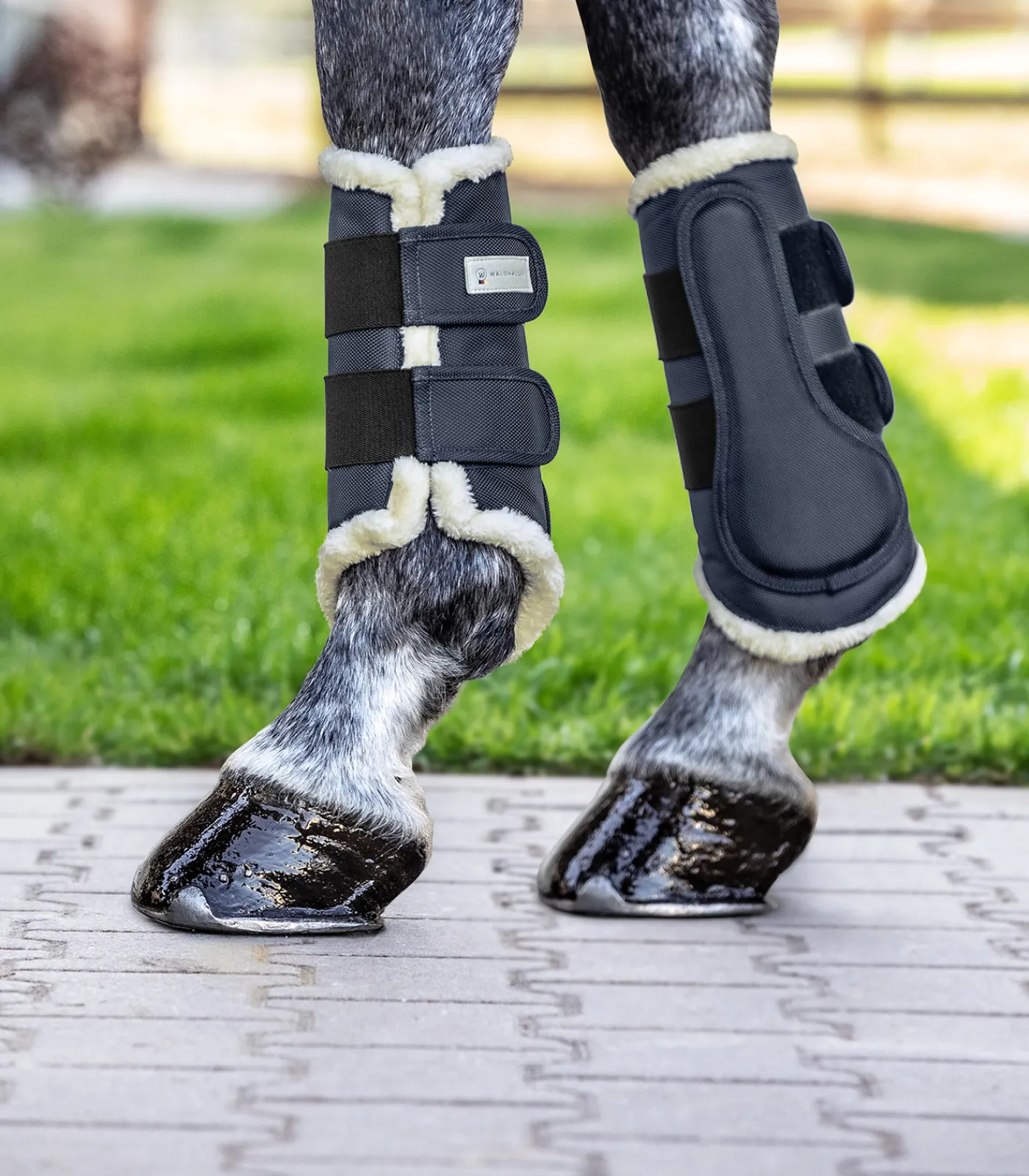 Waldhausen Gamaschen & Streichkappen>Dressurgamasche Comfort