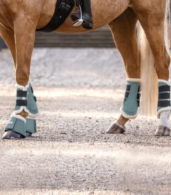 Waldhausen Gamaschen & Streichkappen><noscript><img width=