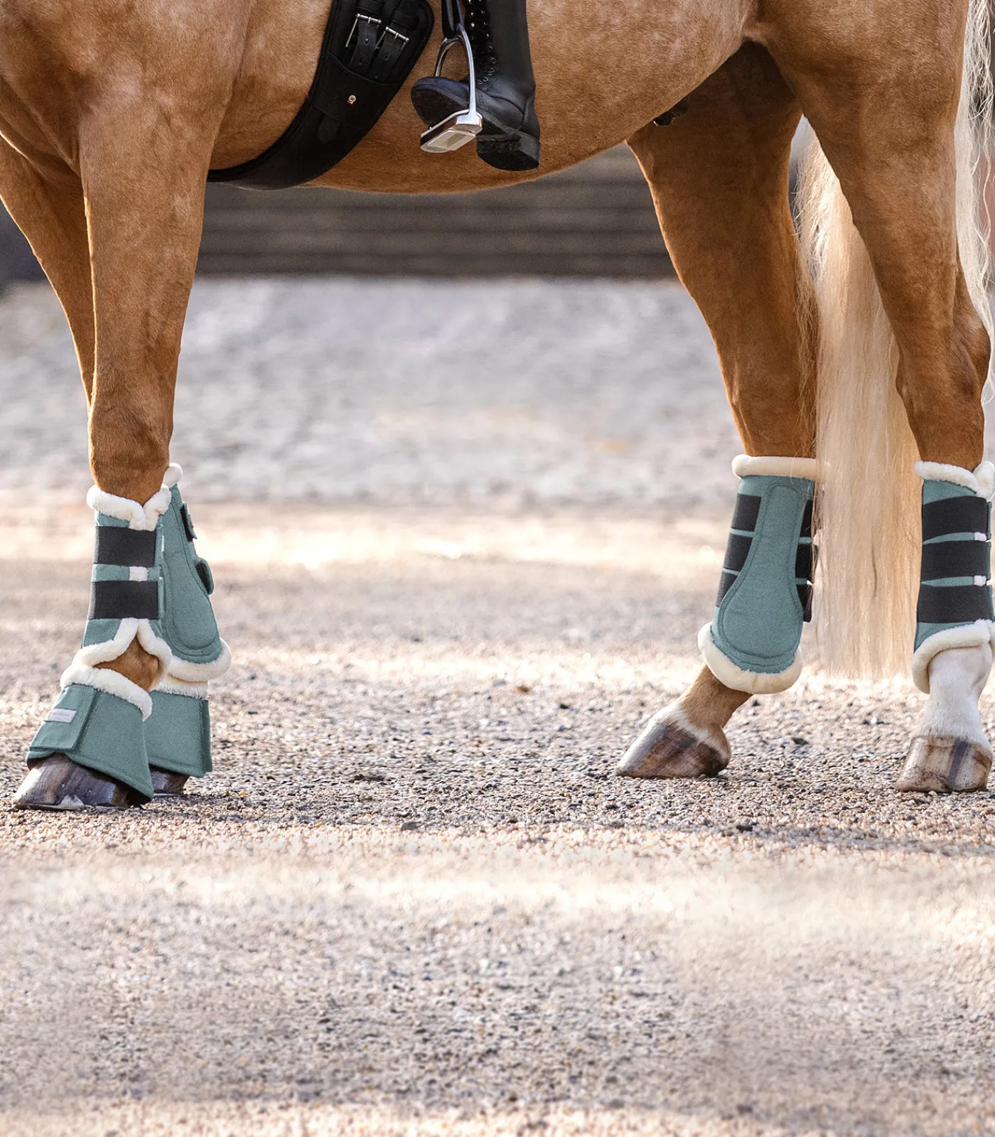 Waldhausen Gamaschen & Streichkappen>Dressurgamasche Comfort