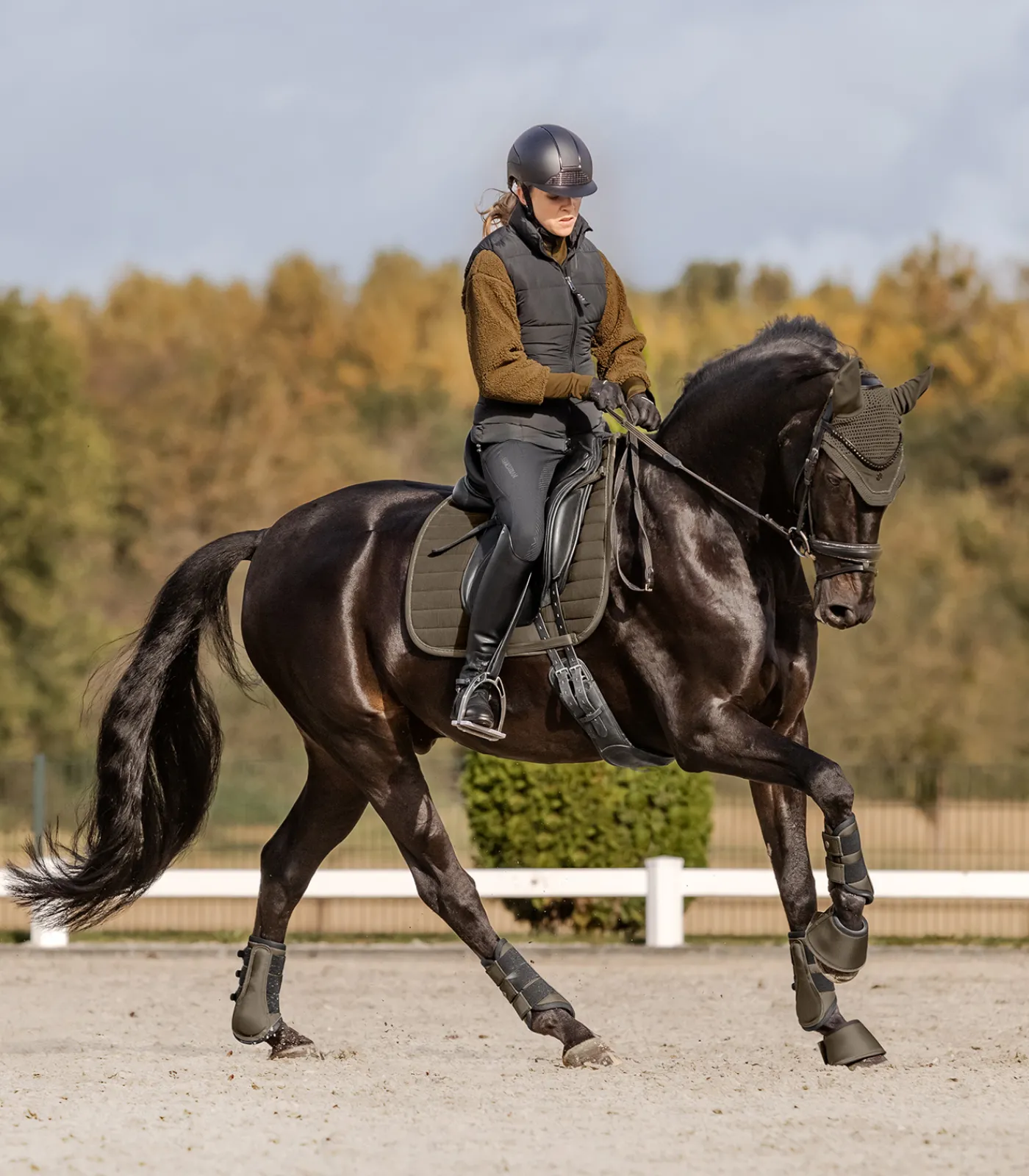 Waldhausen Gamaschen & Streichkappen>Dressurgamasche Comfort Fit