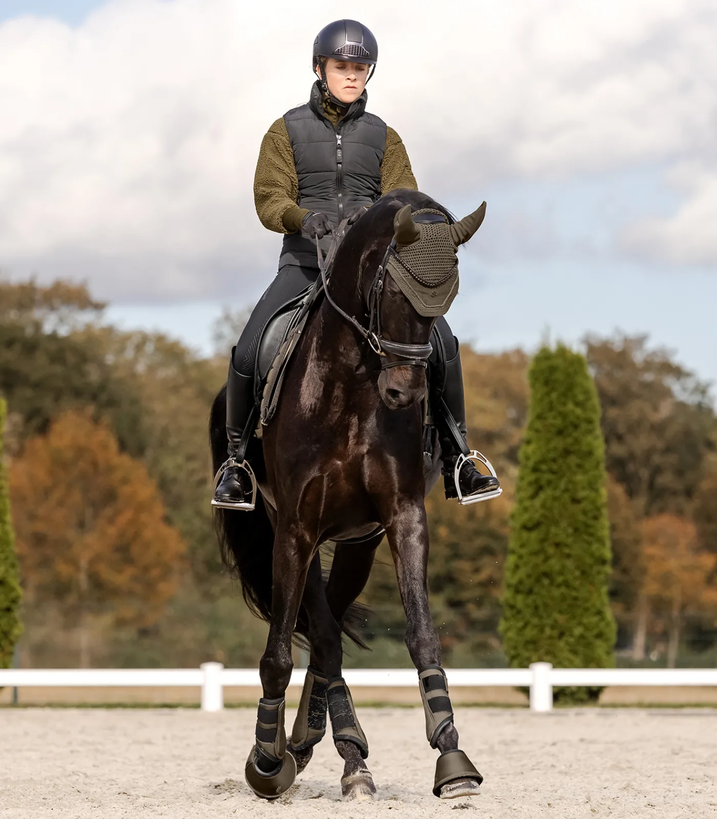 Waldhausen Gamaschen & Streichkappen>Dressurgamasche Comfort Fit