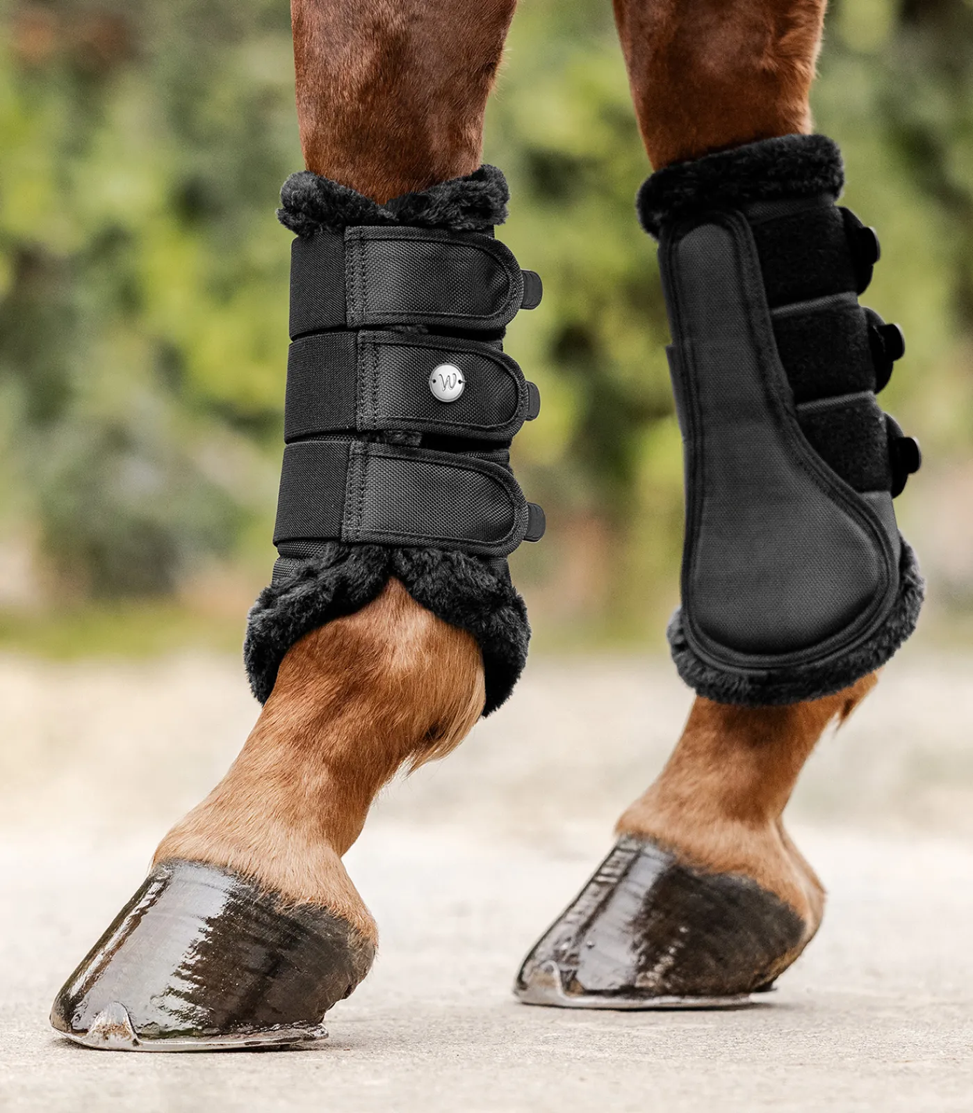 Waldhausen Gamaschen & Streichkappen>Dressurgamasche Comfort Light