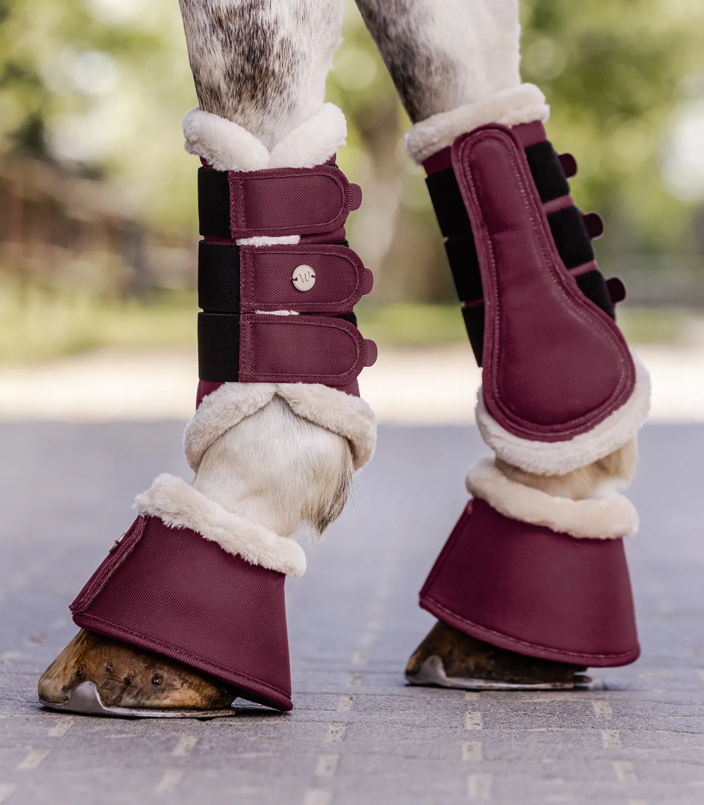 Waldhausen Gamaschen & Streichkappen>Dressurgamasche Comfort Light