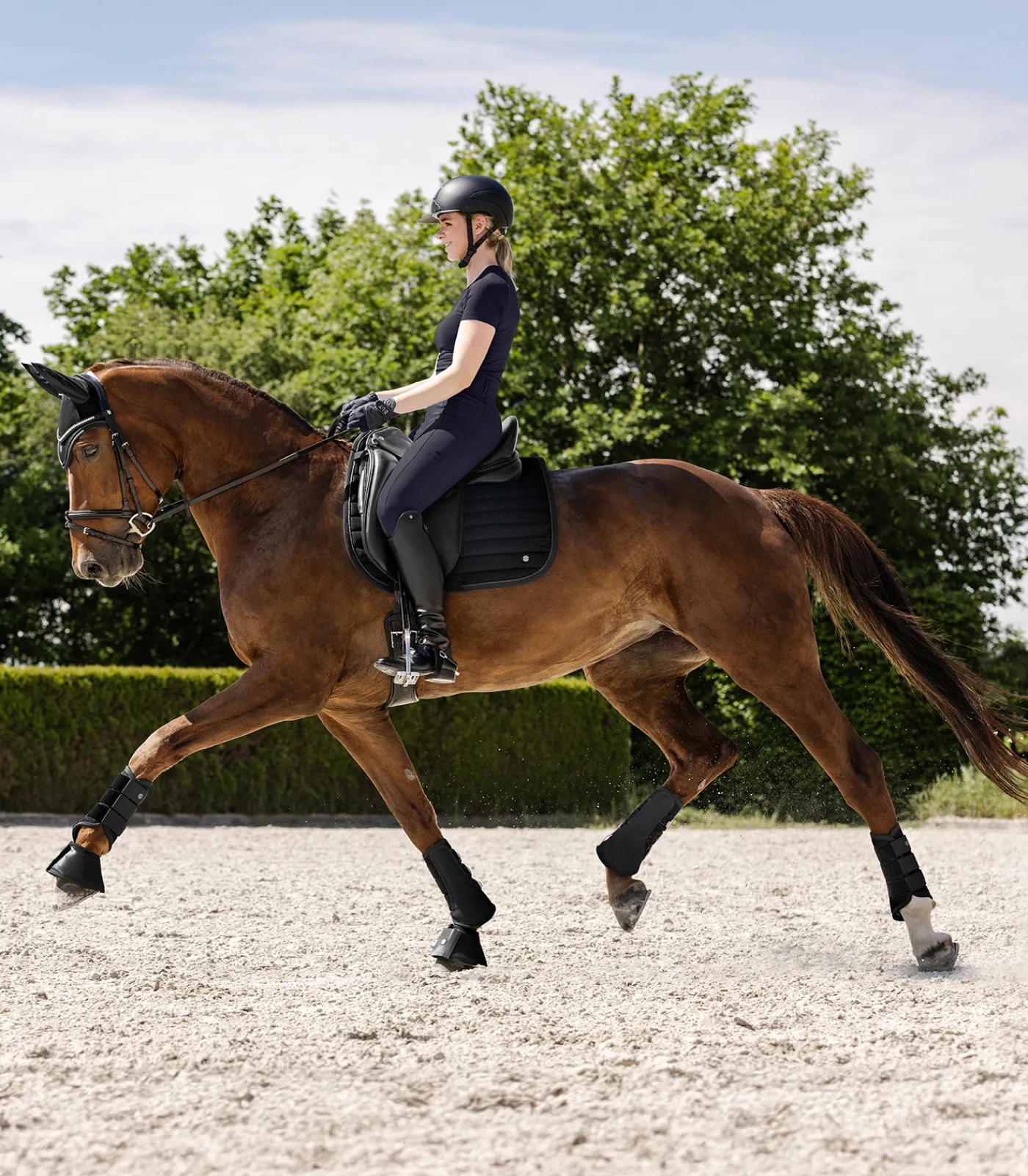 Waldhausen Gamaschen & Streichkappen>Dressurgamasche Rimini