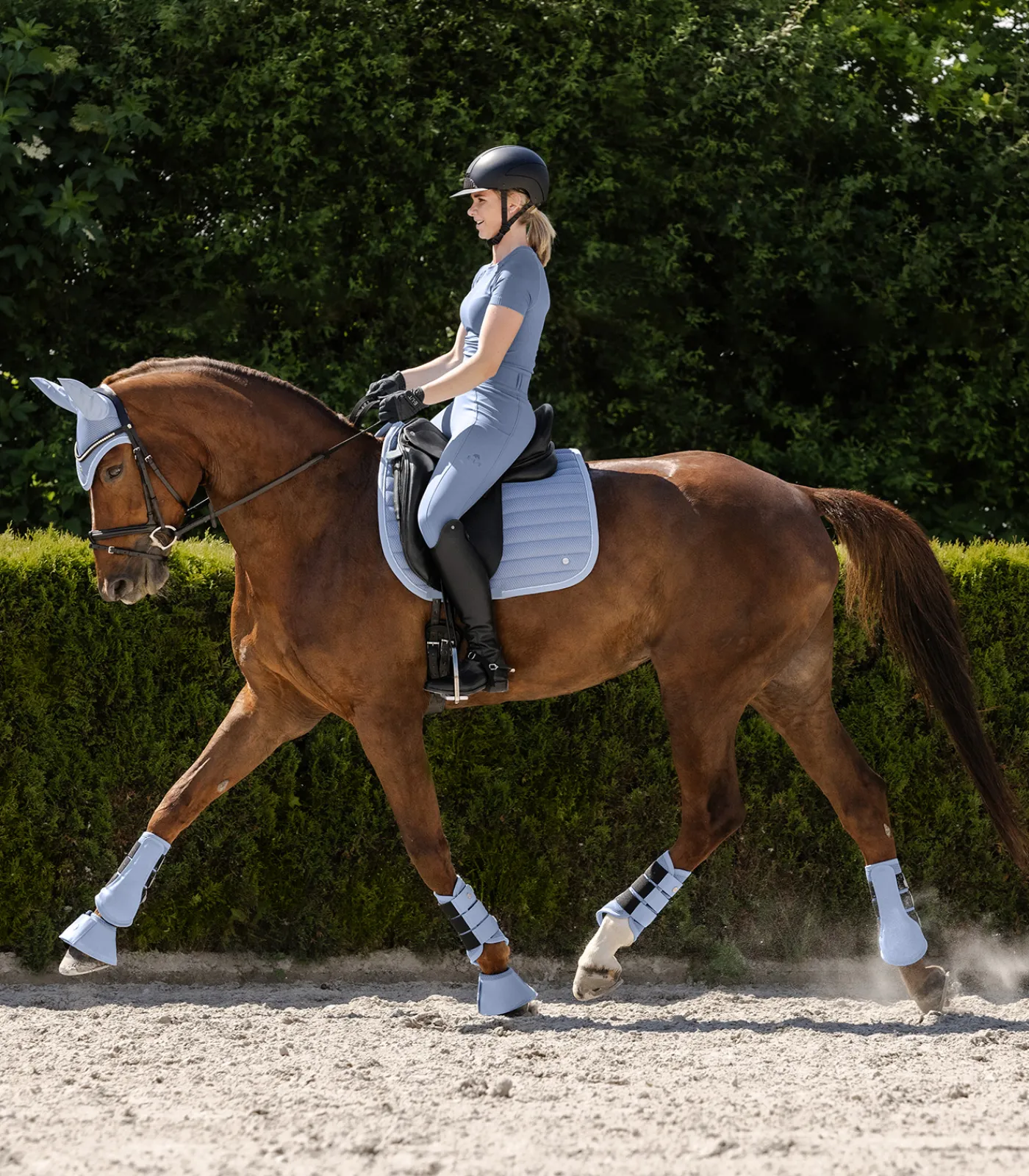 Waldhausen Gamaschen & Streichkappen>Dressurgamasche Rimini