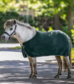 Waldhausen Pony & Shetty|Abschwitzdecken>ECONOMIC Fleecedecke