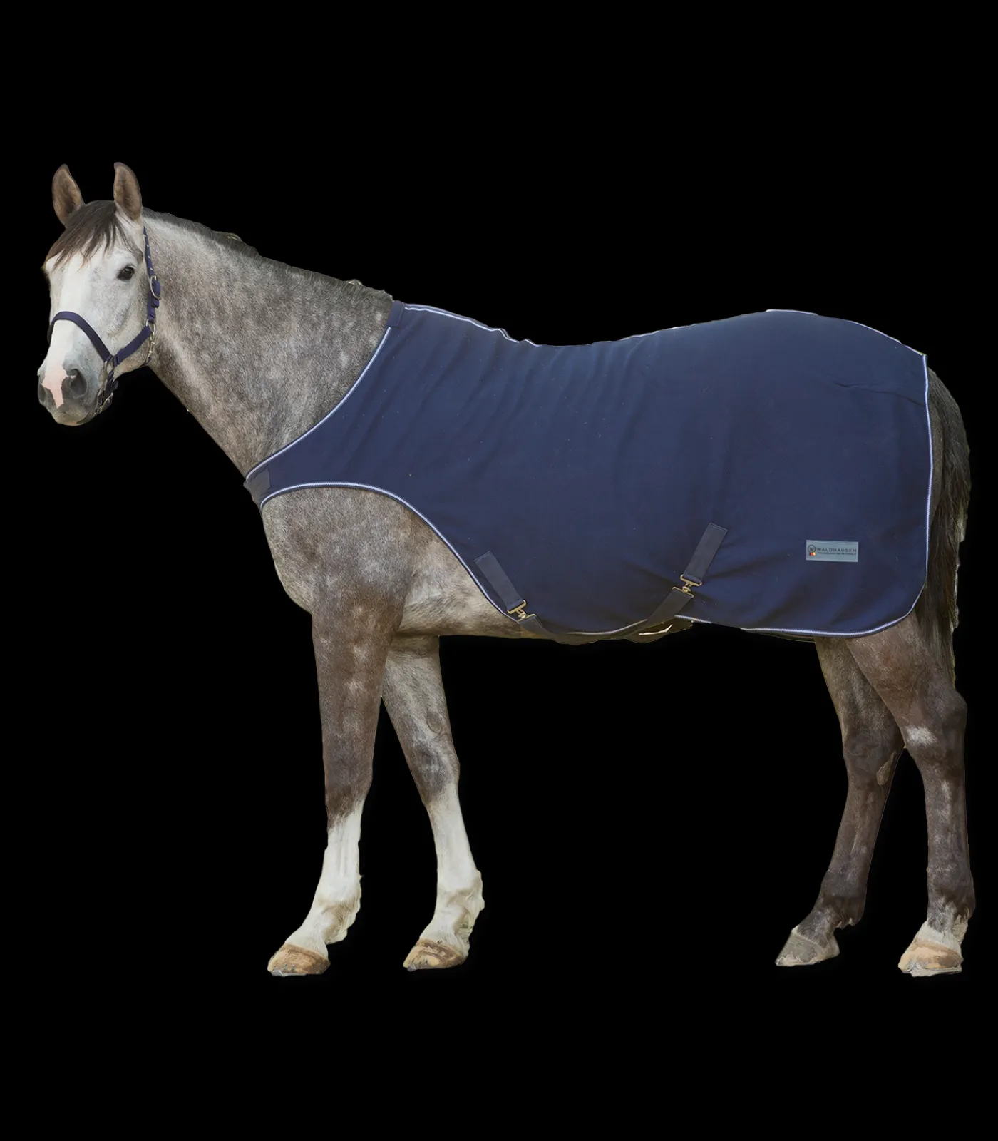 Waldhausen Ausreit- & Führanlagendecken|Abschwitzdecken>ECONOMIC Fleece-Führmaschinendecke