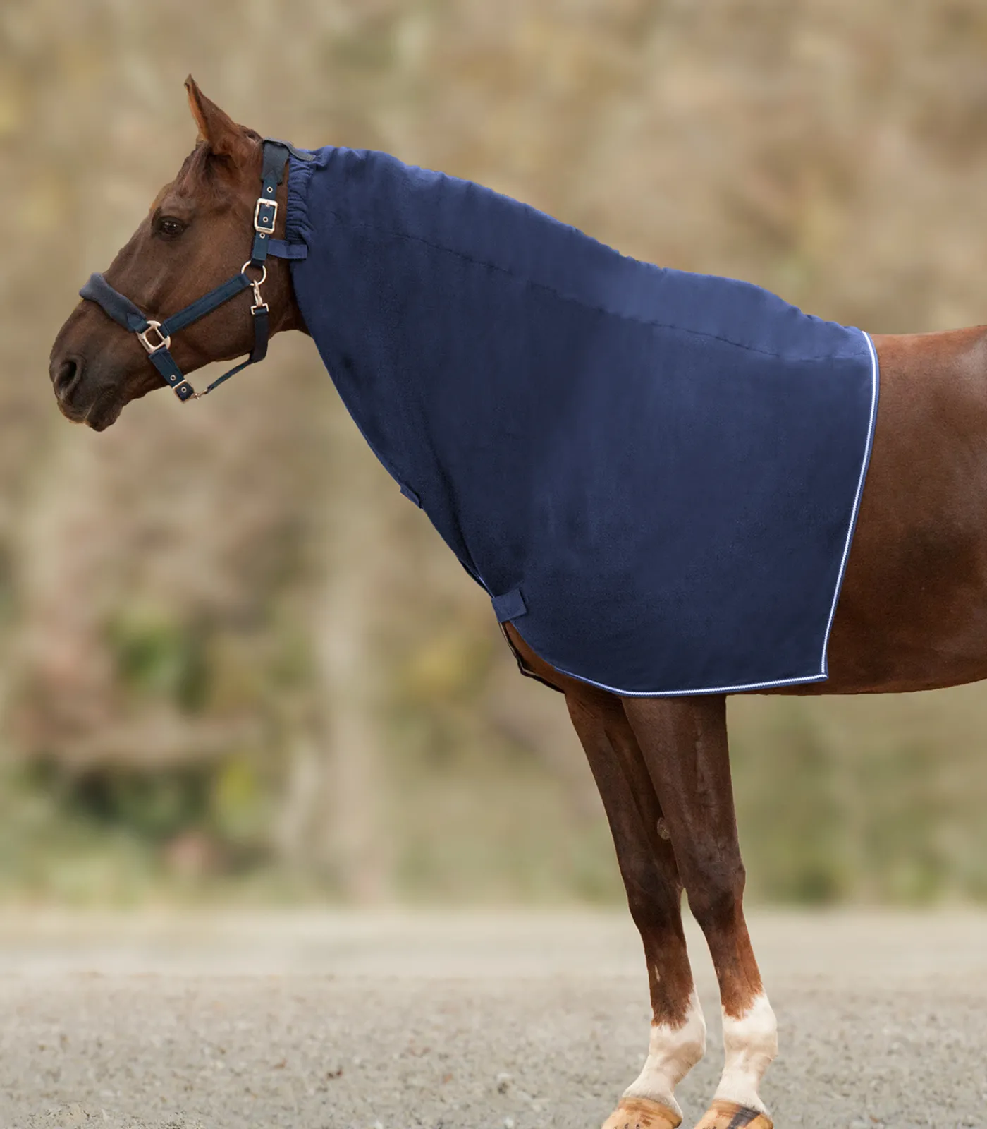 Waldhausen Abschwitzdecken>ECONOMIC Fleece-Halsdecke