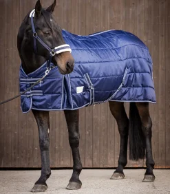 Waldhausen Stalldecken>ECONOMIC Stalldecke, 200 g