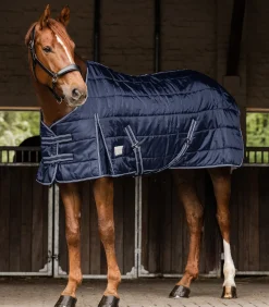 Waldhausen Stalldecken>ECONOMIC Stalldecke, 100 g