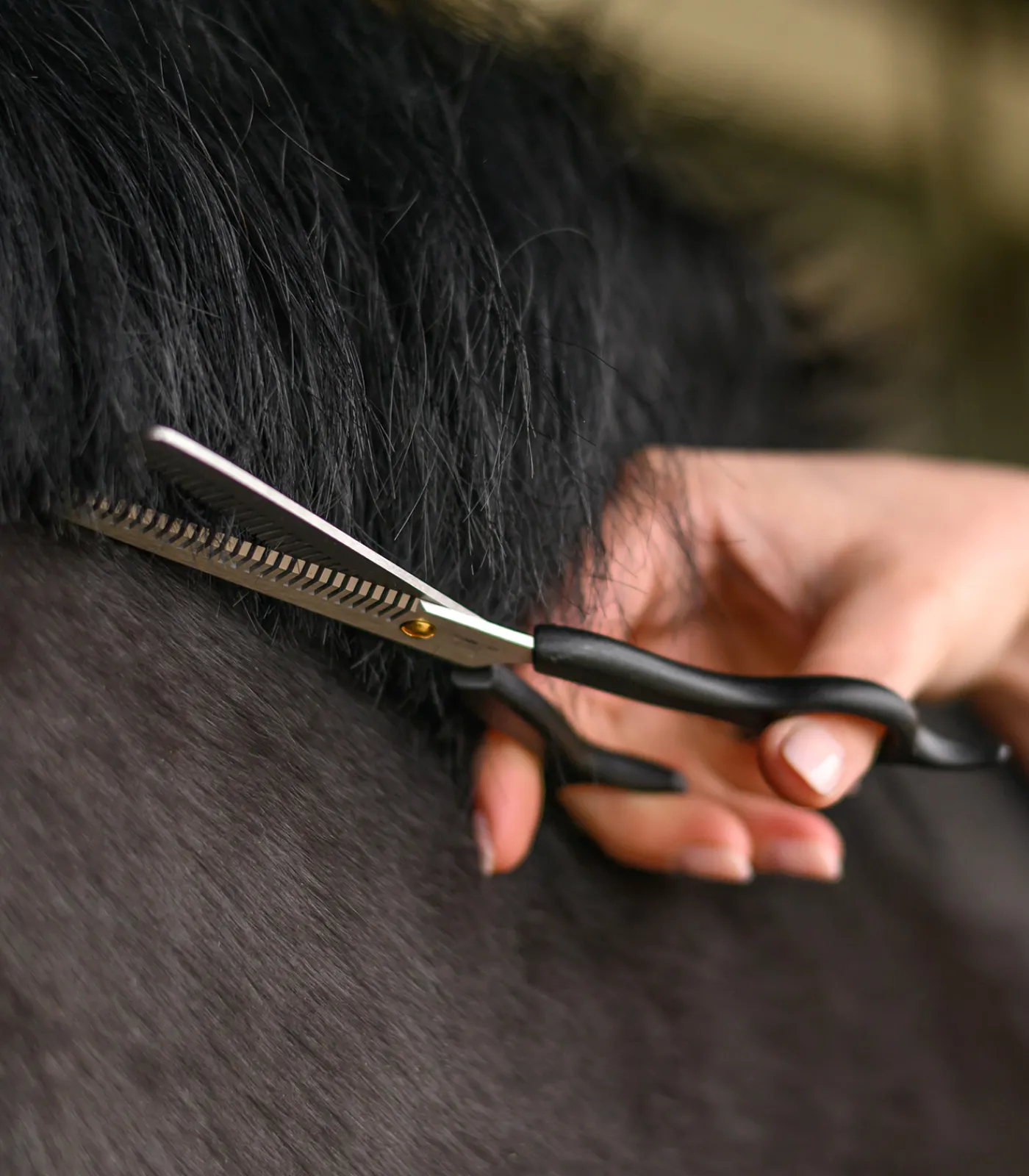 Waldhausen Schermaschine & Scheren>Effilierschere