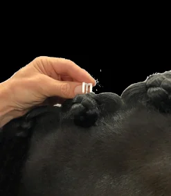 Hes-tec Turnieraccessoires & Pflege>Einflechthilfe Quick Knot Deluxe, Standard