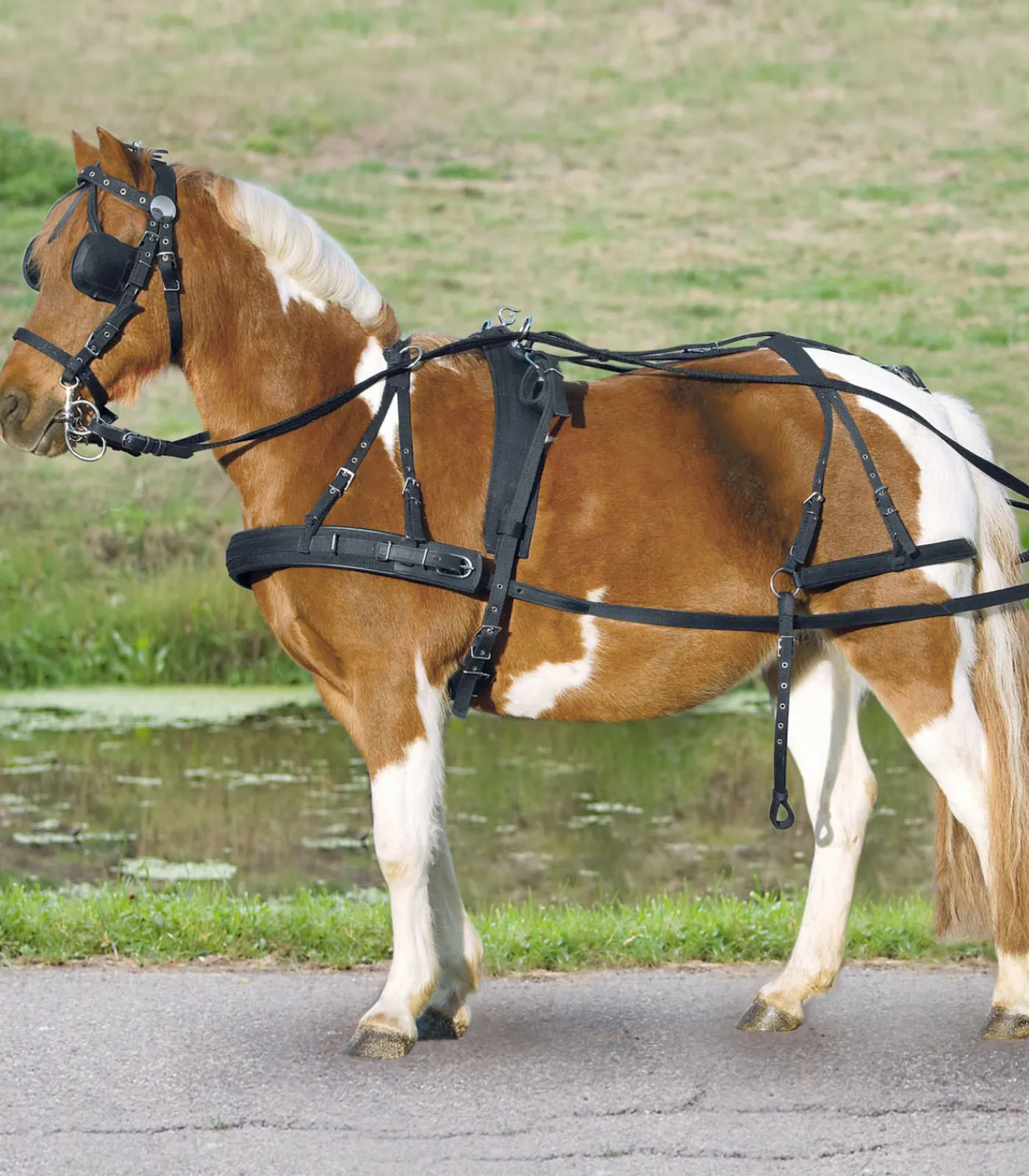 STAR Fahrsport>Einspänner Synthetikgeschirr, Pony und Shetty