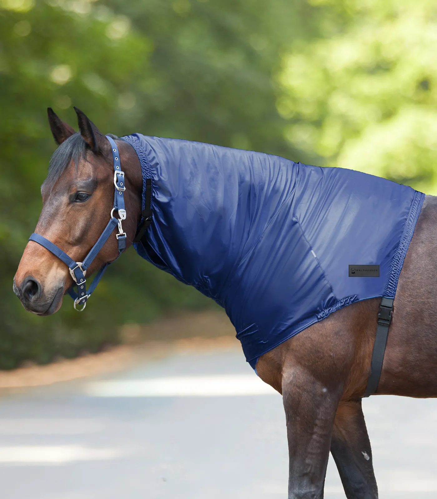 Waldhausen Pony & Shetty|Island>Ekzemer Halsteil