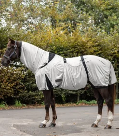 Waldhausen Pony & Shetty|Island>Ekzemerdecke Premium