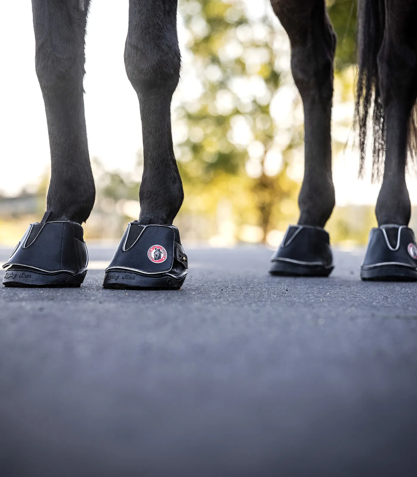 Equine Fusion Huf & Pferdebein|Hufglocken & Fesselschutz>® Active Jogging Shoe Slim