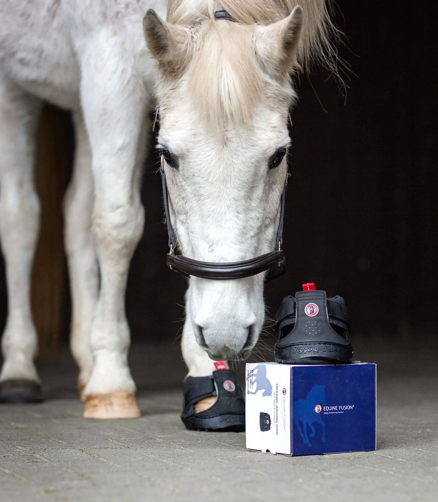 Equine Fusion Huf & Pferdebein|Hufglocken & Fesselschutz>® Trekking Shoe Slim