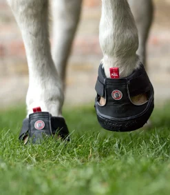 Equine Fusion Huf & Pferdebein|Hufglocken & Fesselschutz><noscript><img width=