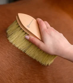 Waldhausen Putzzeug><noscript><img width=