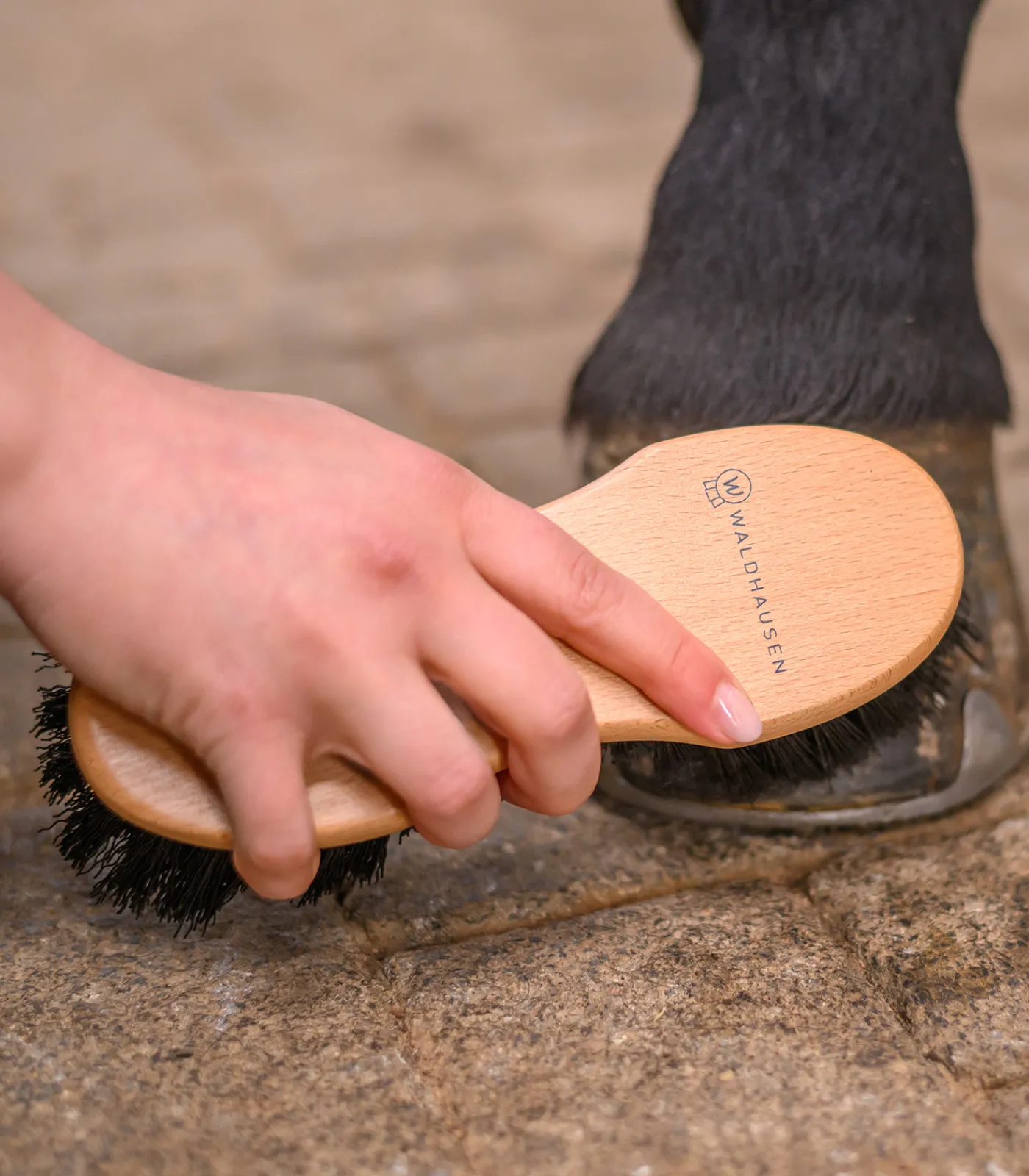 Waldhausen Putzzeug>Exclusive Line Hufbürste