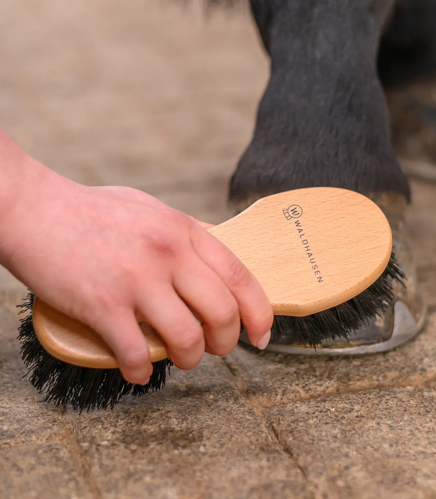 Waldhausen Putzzeug>Exclusive Line Hufbürste