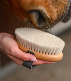 Waldhausen Putzzeug><noscript><img width=