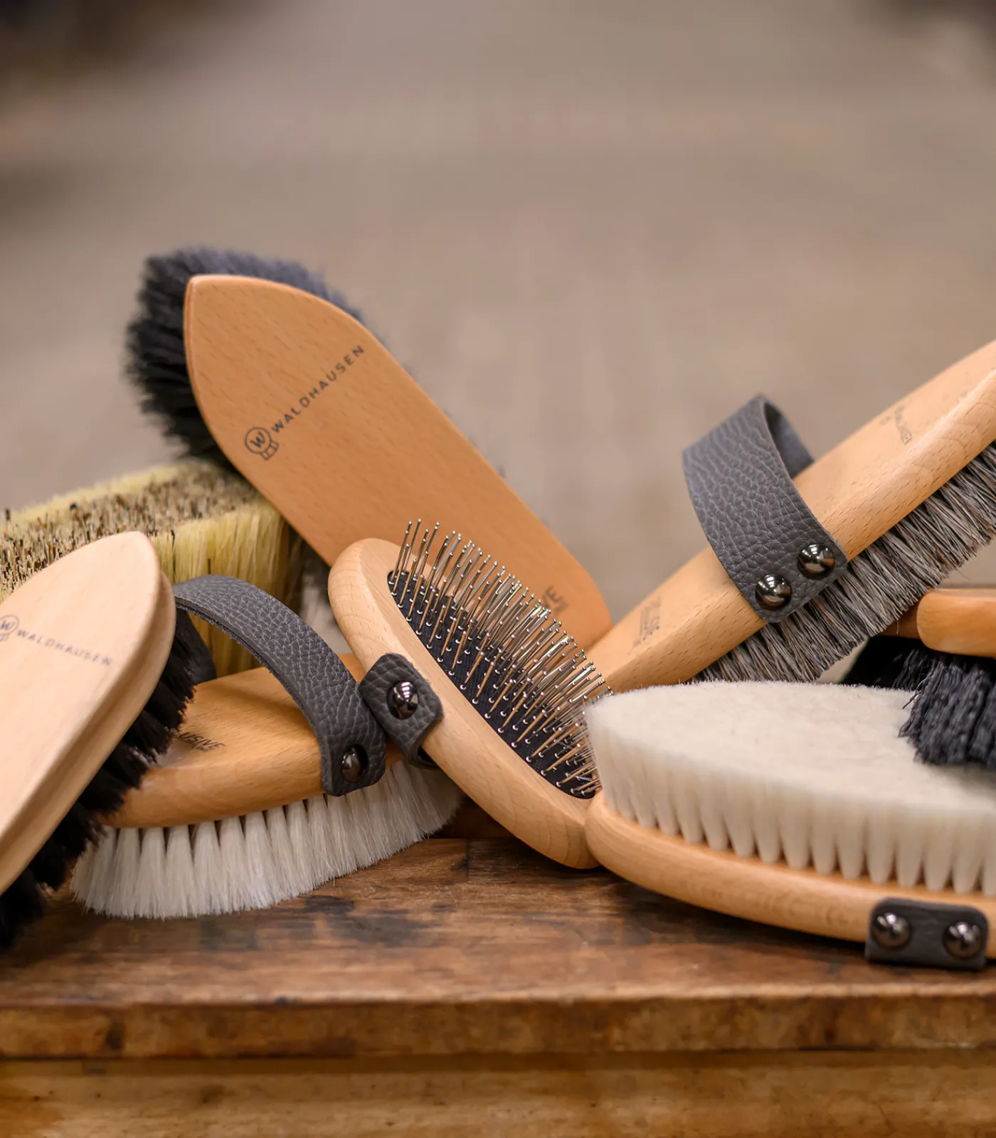 Waldhausen Putzzeug>Exclusive Line Kopfkardätsche