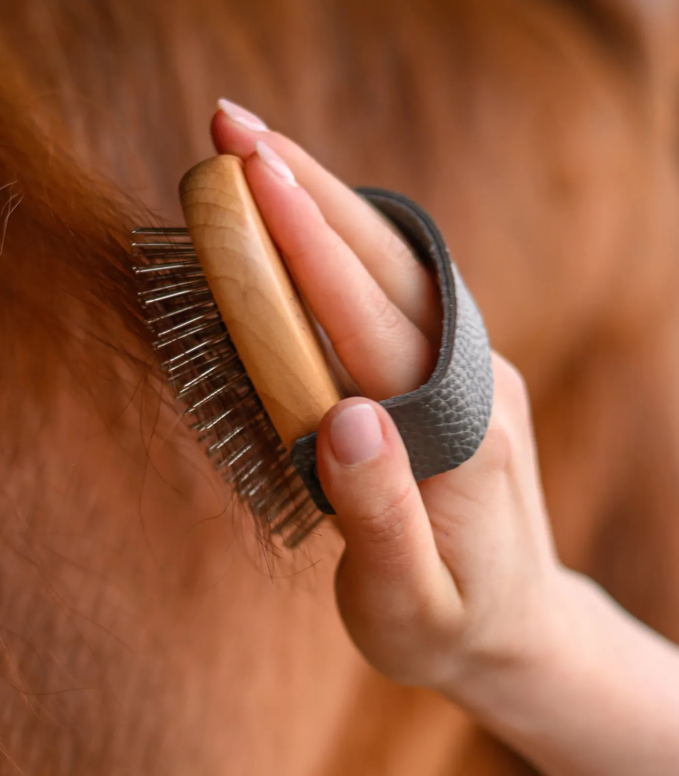 Waldhausen Putzzeug|Mähne & Schweif>Exclusive Line Mähnenbürste