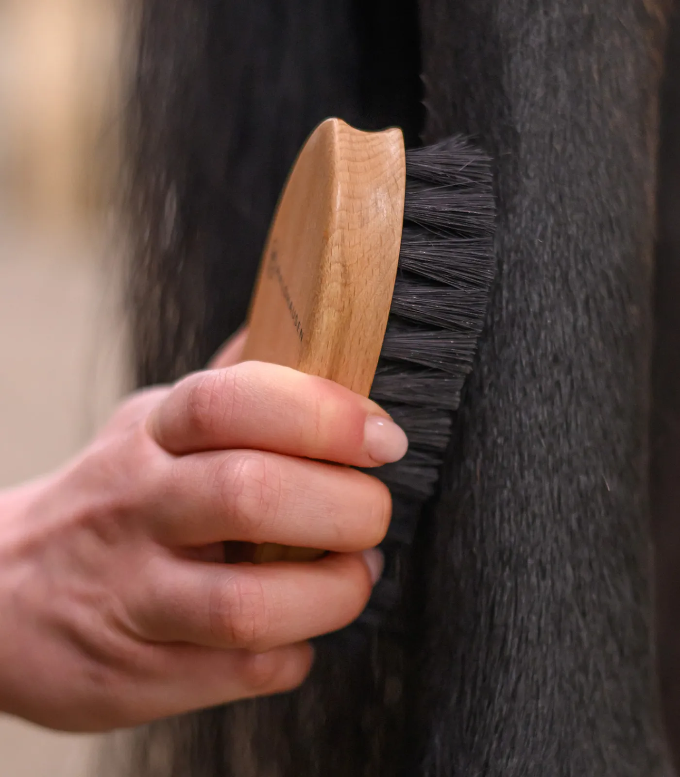 Waldhausen Putzzeug>Exclusive Line Schmutzbürste